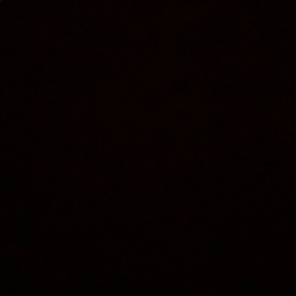 Meet your Posher, Rex - Picture 1 of 1